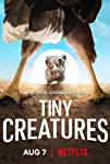 Tiny Creatures (S01)