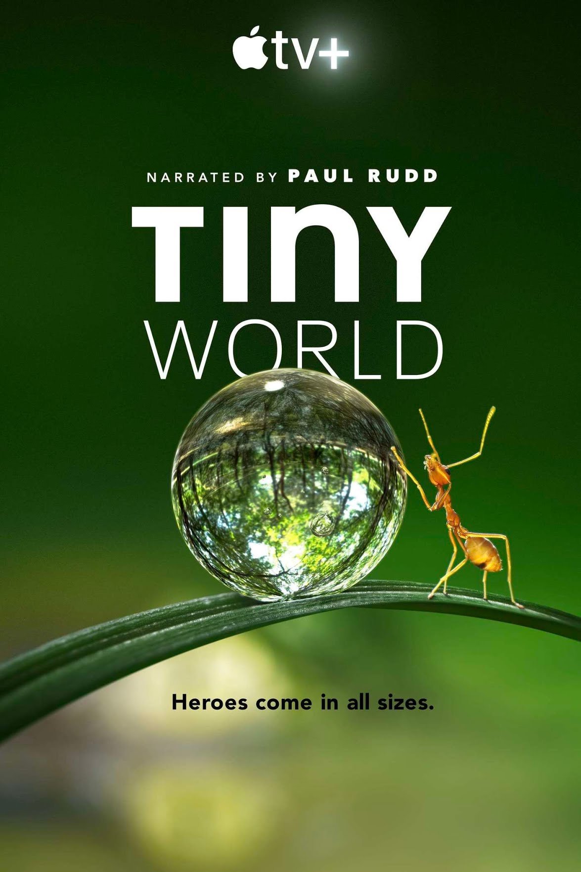 Tiny World(S01 - S02)