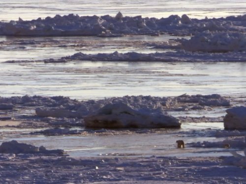 Les grands phénomènes naturels: The Great Melt | Season 1 | Episode 1