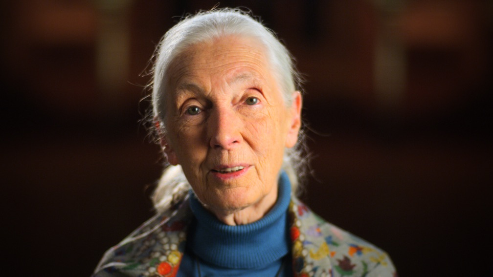 Briefe an...: Jane Goodall | Season 1 | Episode 7