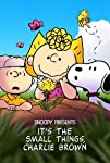 Snoopy Presents - Its the Small Things Charlie Brown
