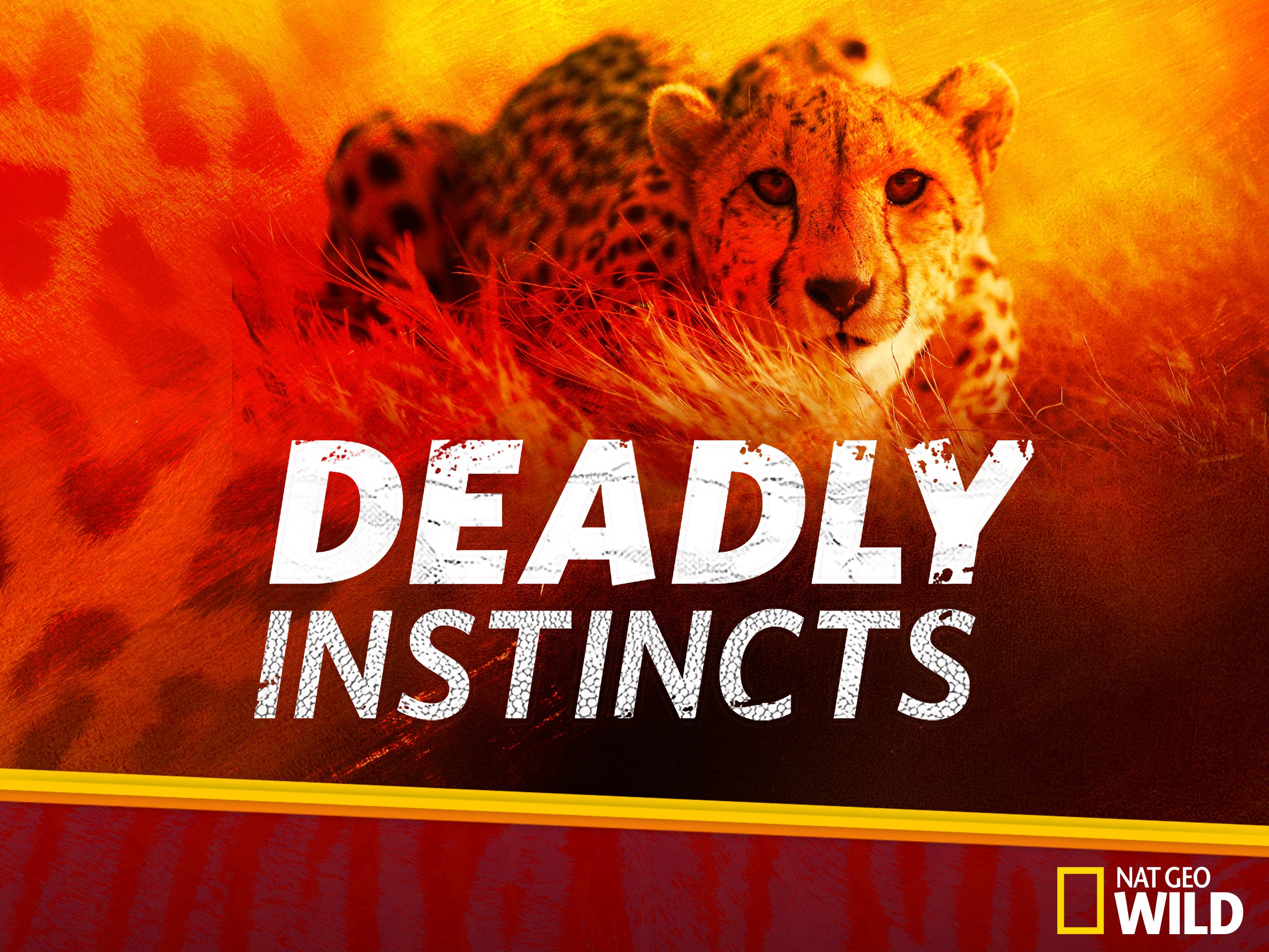 Deadly Instincts (S01)