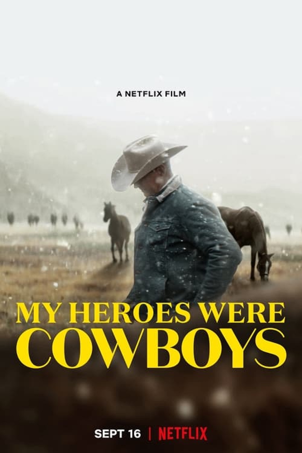 My Heroes Were Cowboys