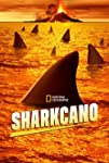 Sharkcano