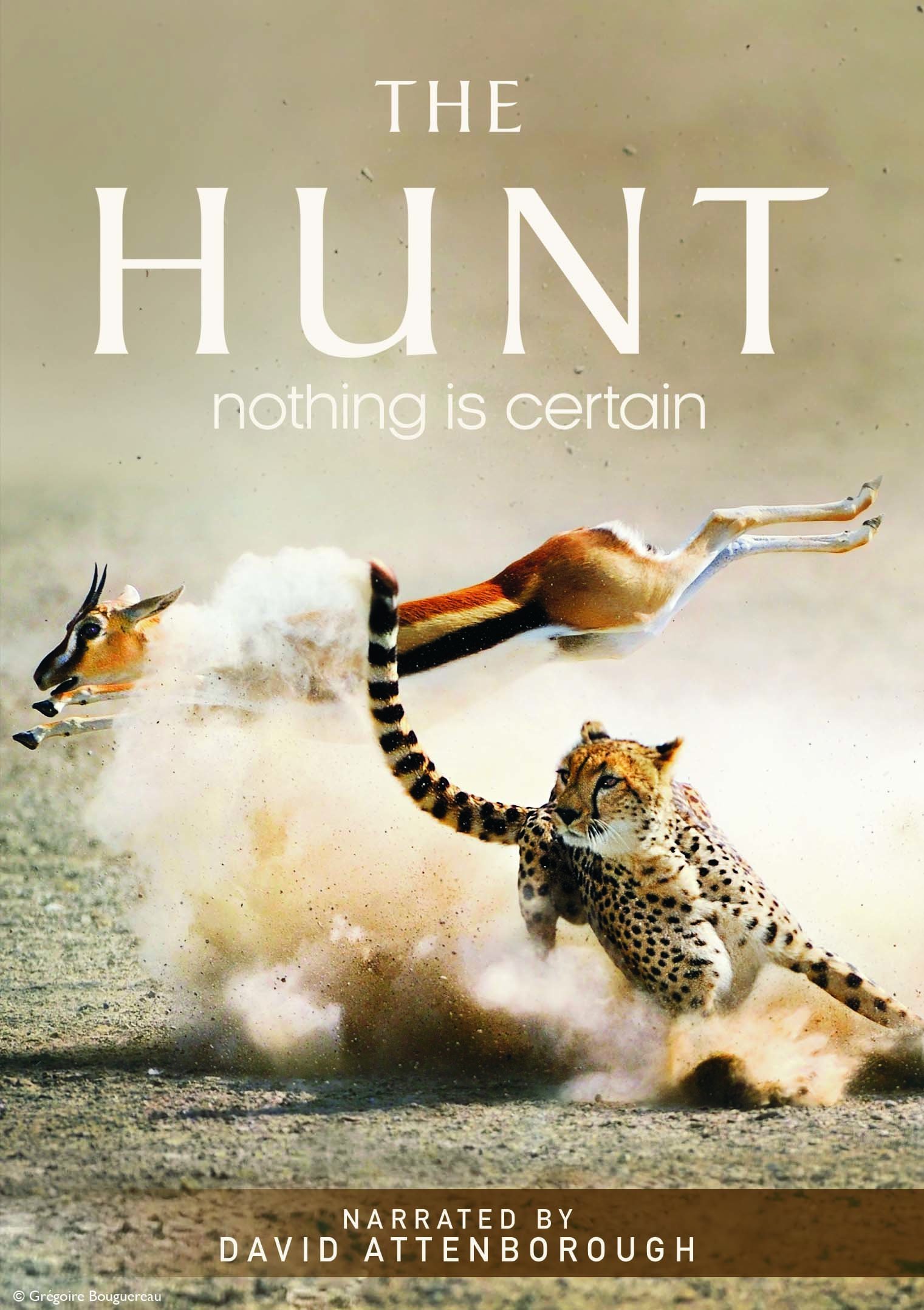 The Hunt (S01)