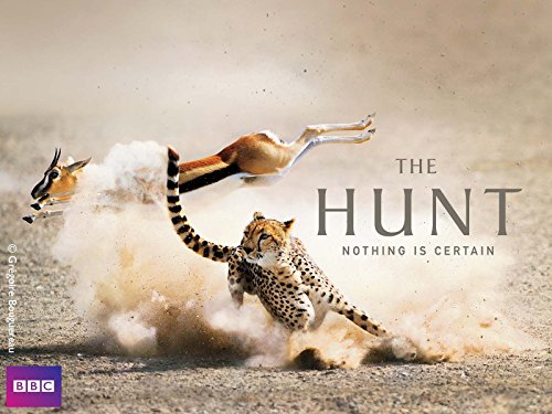 The Hunt: Living with Predators (Conservation) | Season 1 | Episode 7