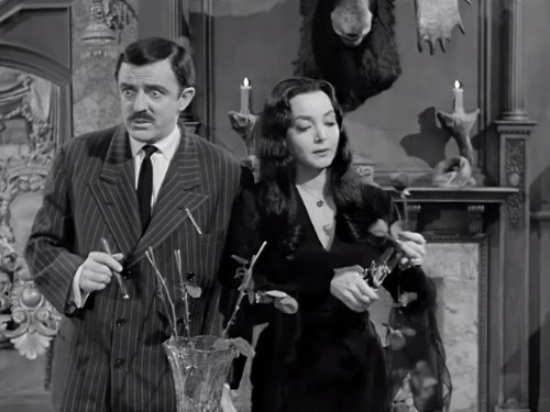 Die Addams Family: Cousin Itt and the Vocational Counselor | Season 1 | Episode 32
