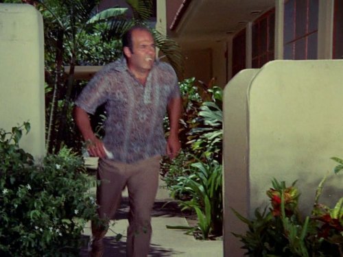 Hawaii Fünf-Null: The Grandstand Play: Part II | Season 3 | Episode 24