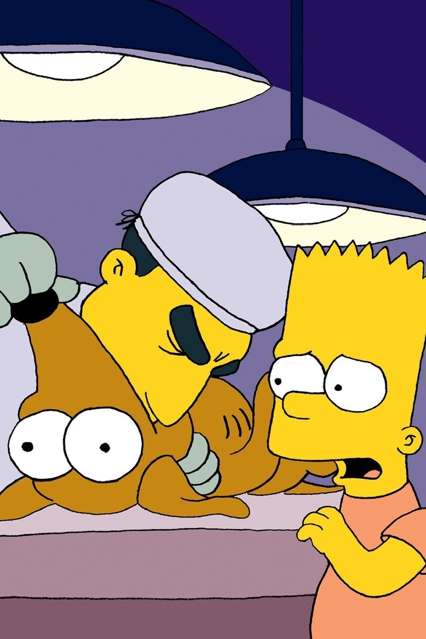 Die Simpsons: Dog of Death | Season 3 | Episode 19