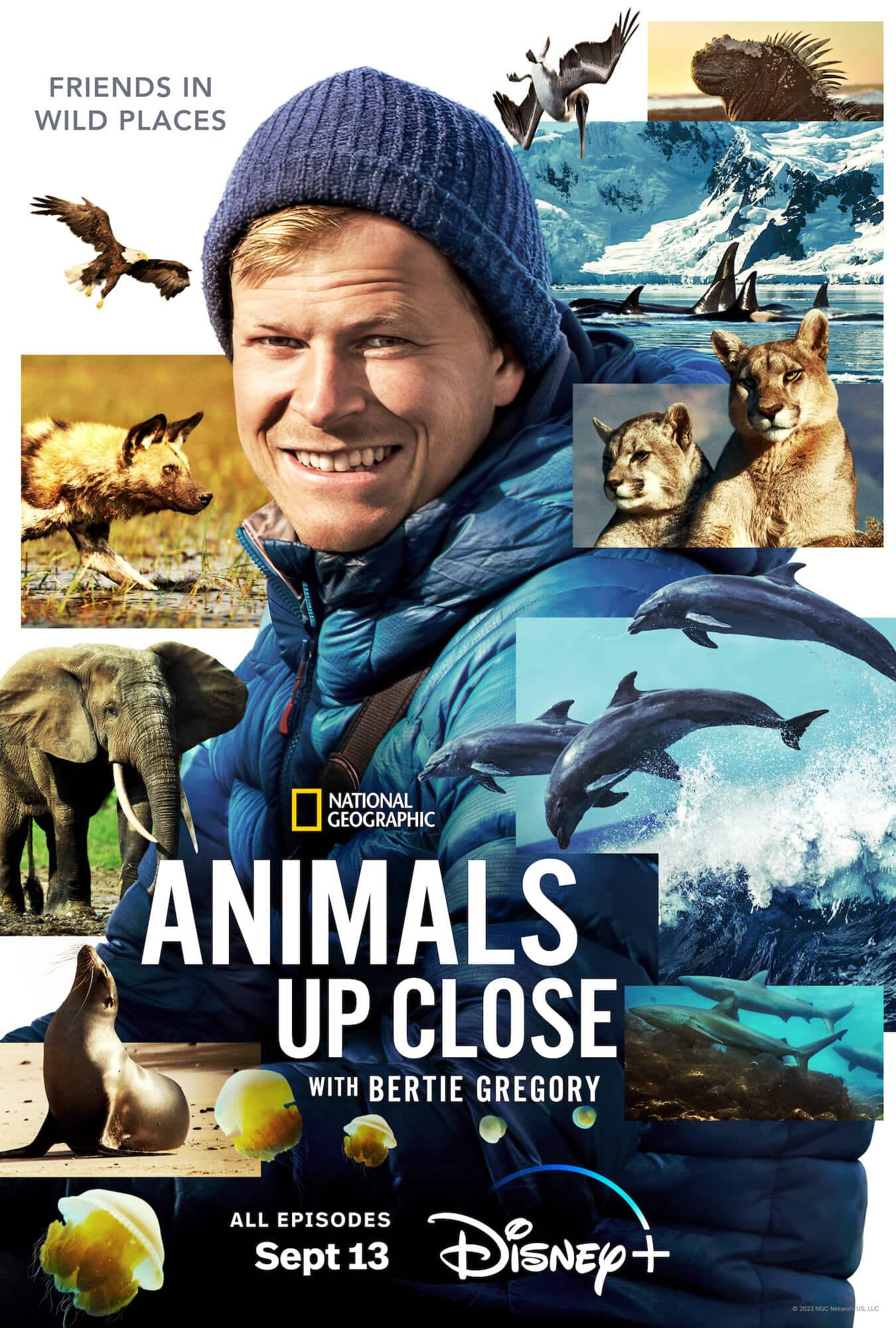Animals Up Close with Bertie Gregory (S01)