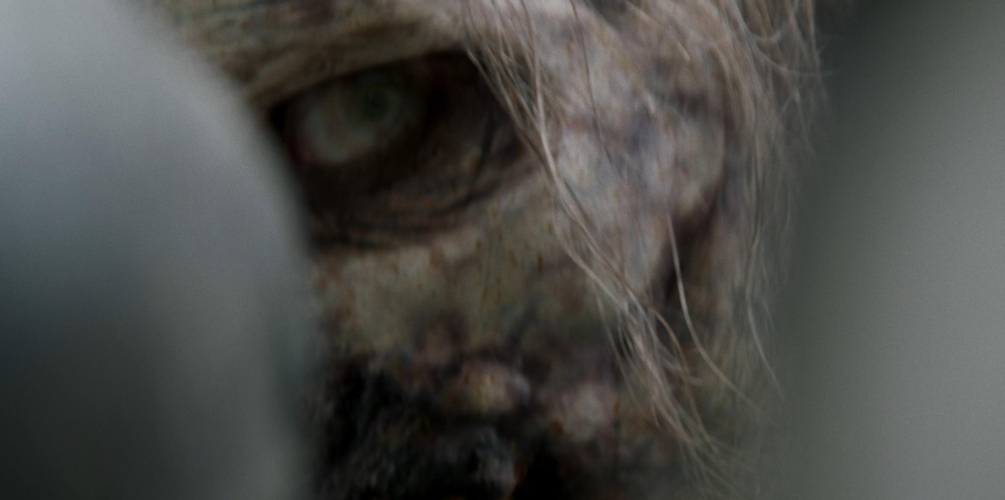 The Walking Dead: Daryl Dixon: La Dame de Fer | Season 1 | Episode 4