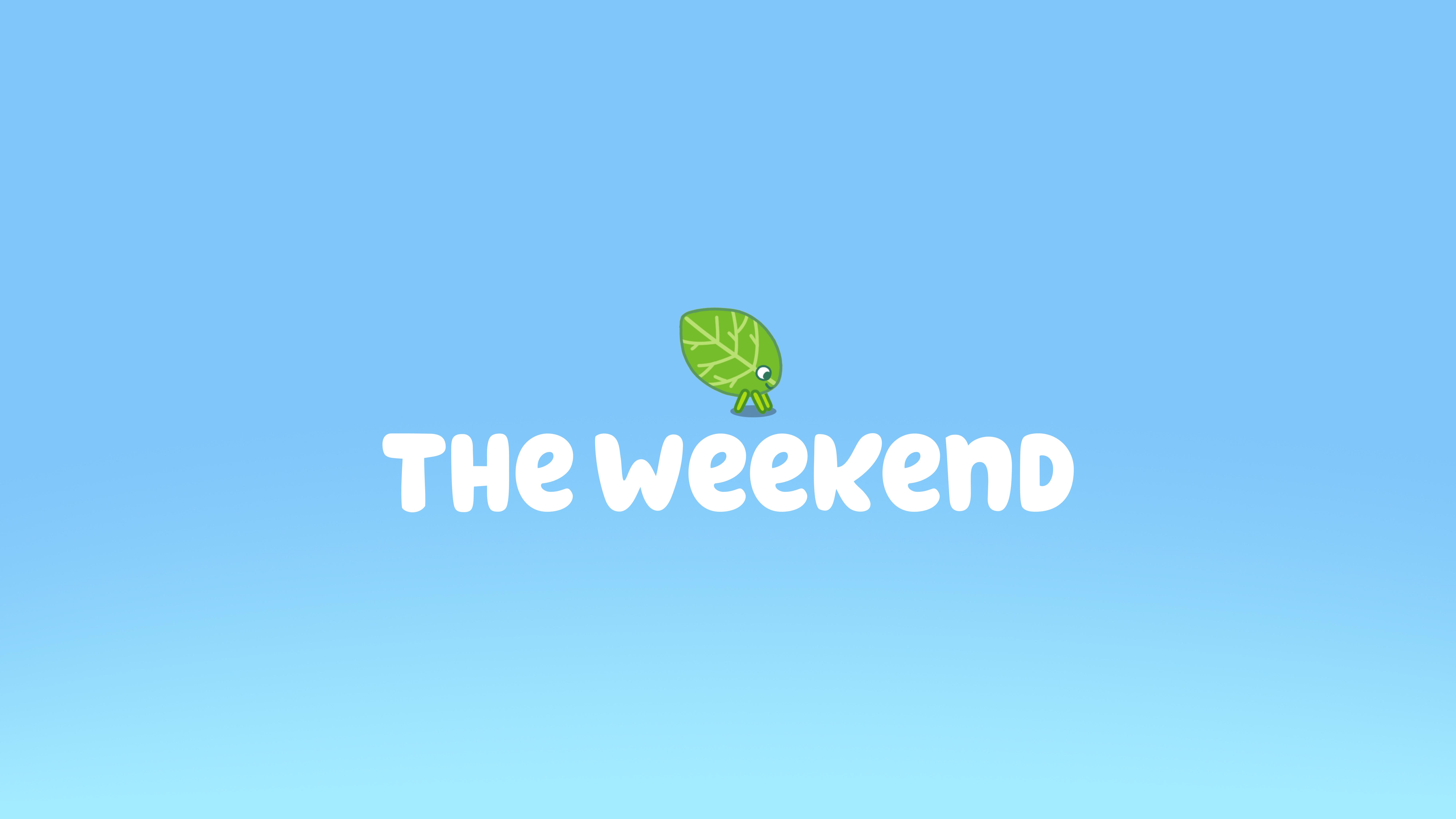 Bluey: The Weekend | Season 1 | Episode 6