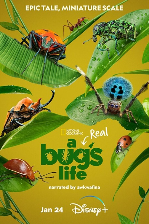 A Real Bug\'s Life (έως S01E04)