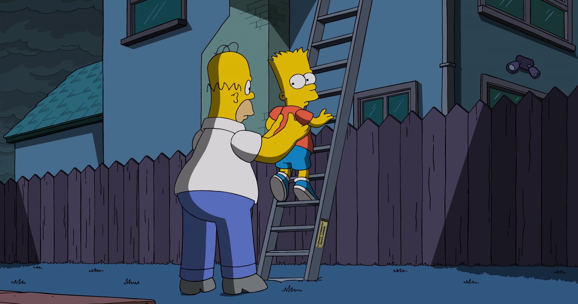 Die Simpsons: Flanders' Ladder | Season 29 | Episode 21