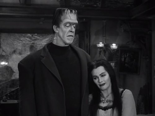 Die Munsters: Family Portrait | Season 1 | Episode 13