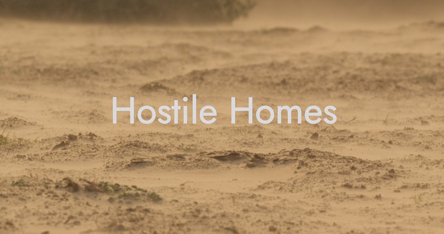 Wilde Babys: Hostile Homes | Season 1 | Episode 7