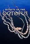 Secrets of the Octopus (S01)