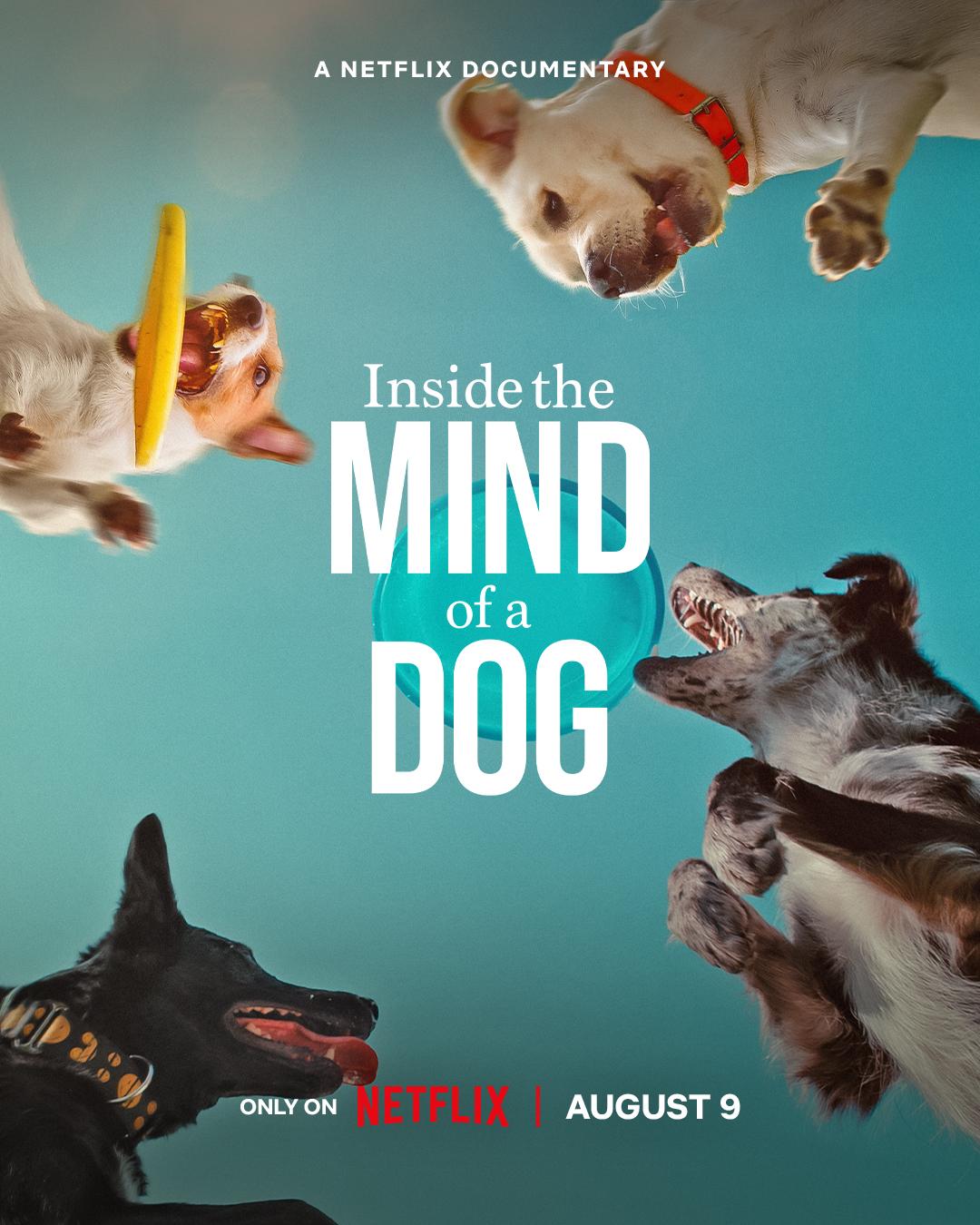 Inside The Mind Of A Dog