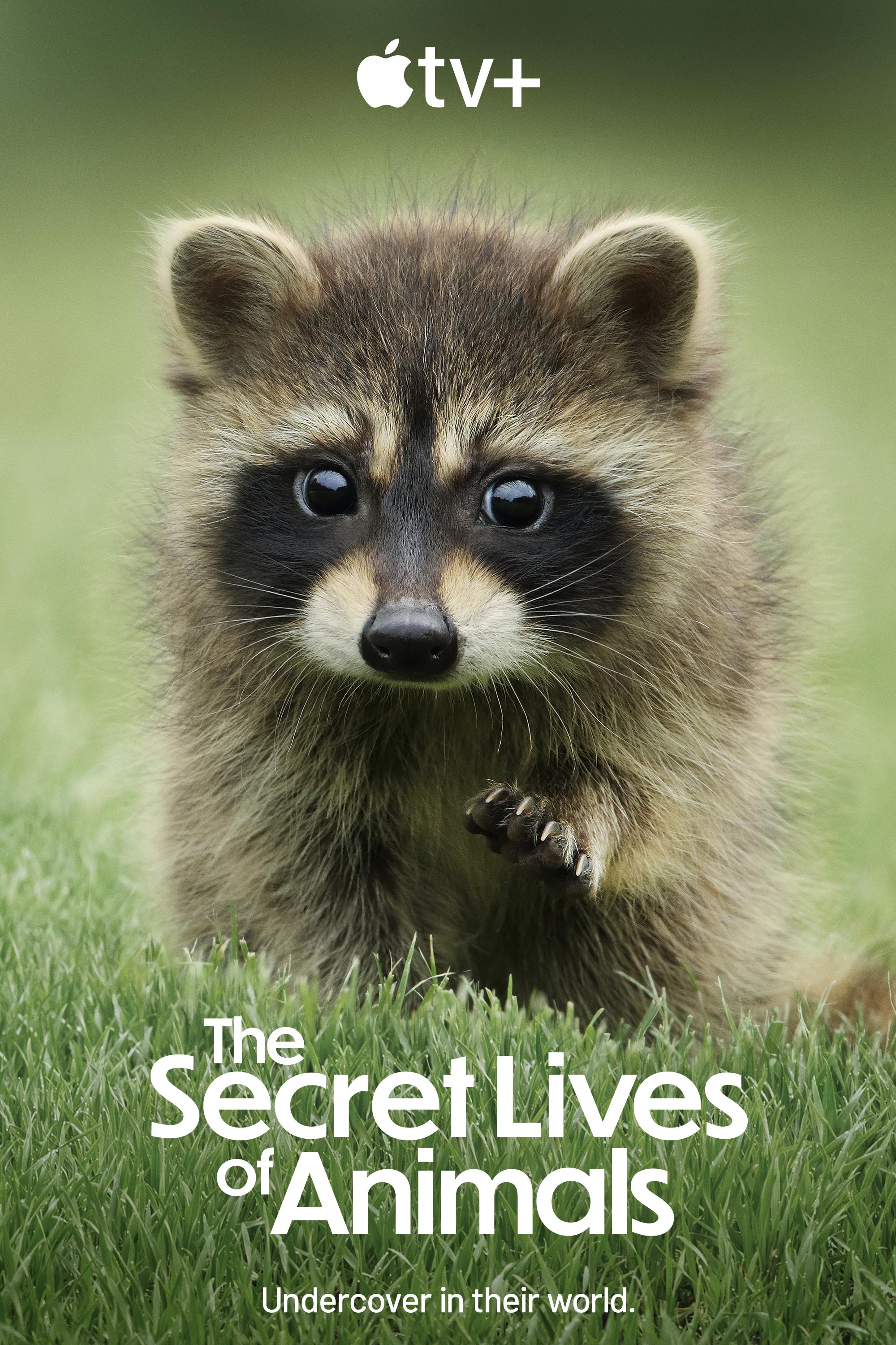 The Secret Lives of Animals (S01)