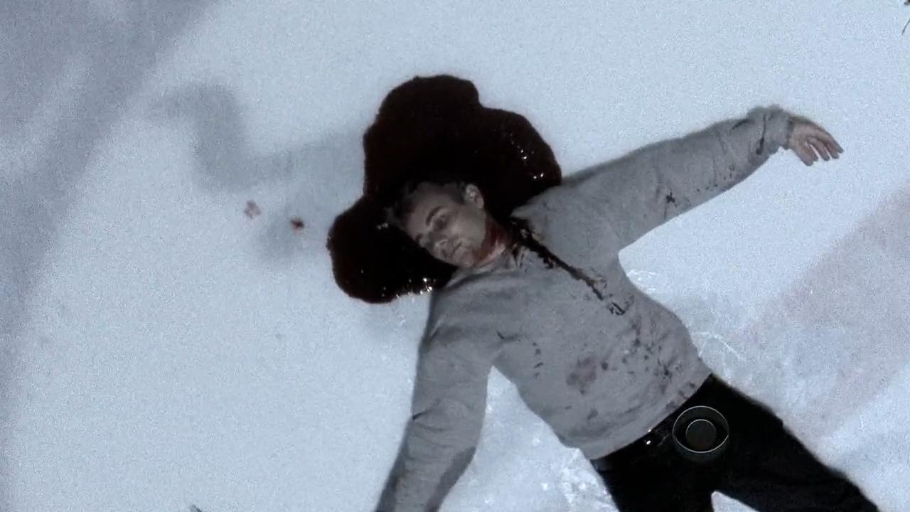 Cold Case - Kein Opfer ist je vergessen: Iced | Season 7 | Episode 10