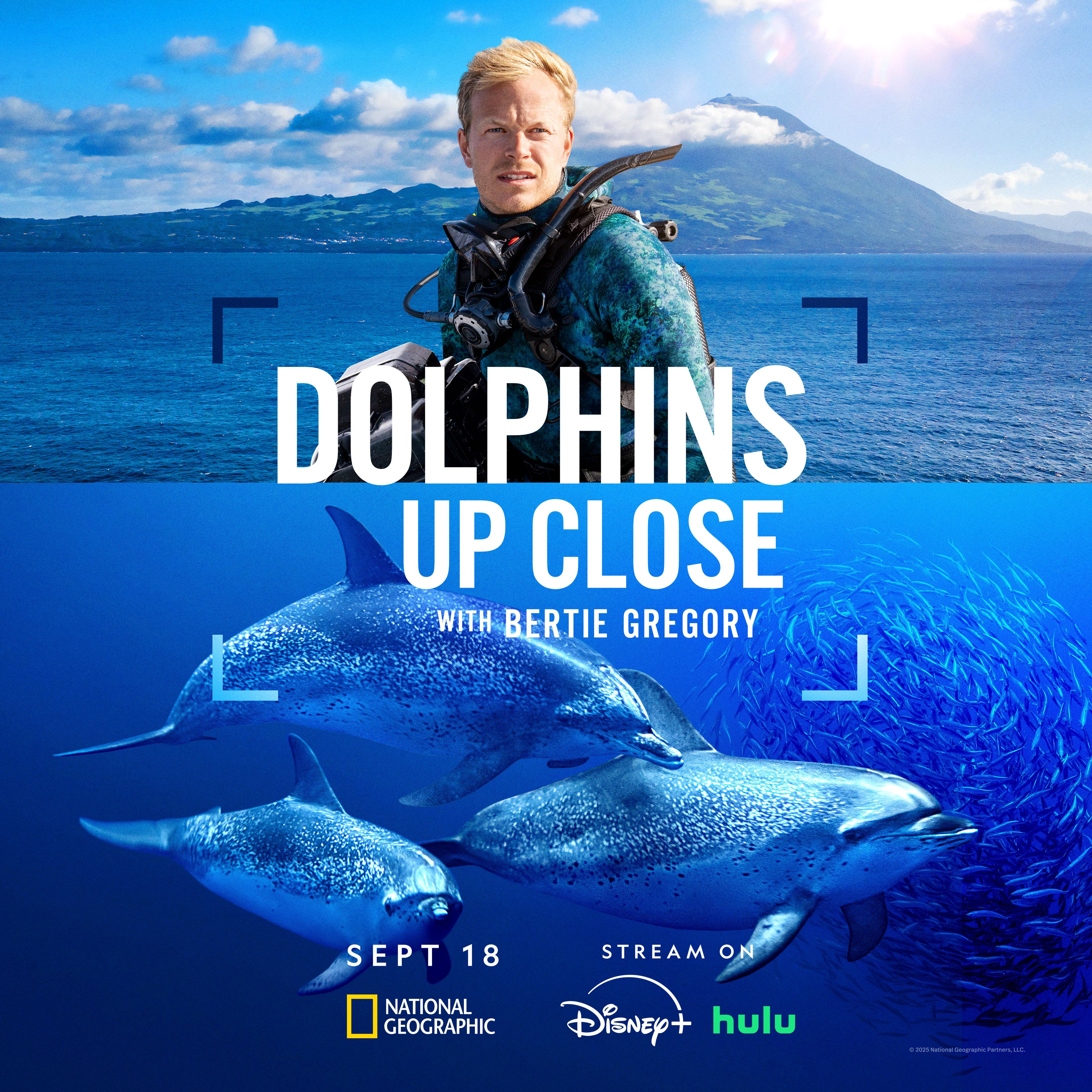 Dolphins Up Close with Bertie Gregory