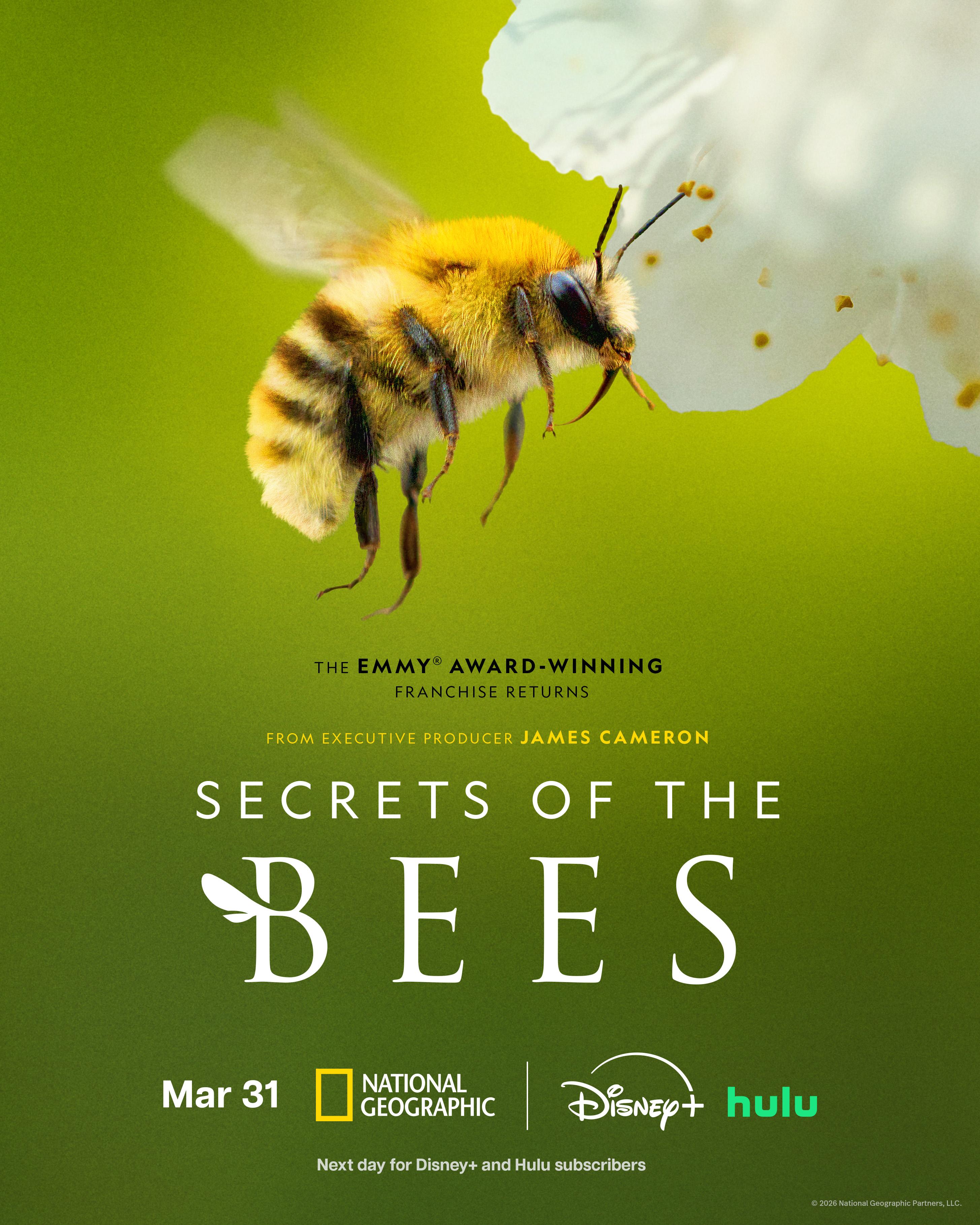 Secrets of the Bees (S01)