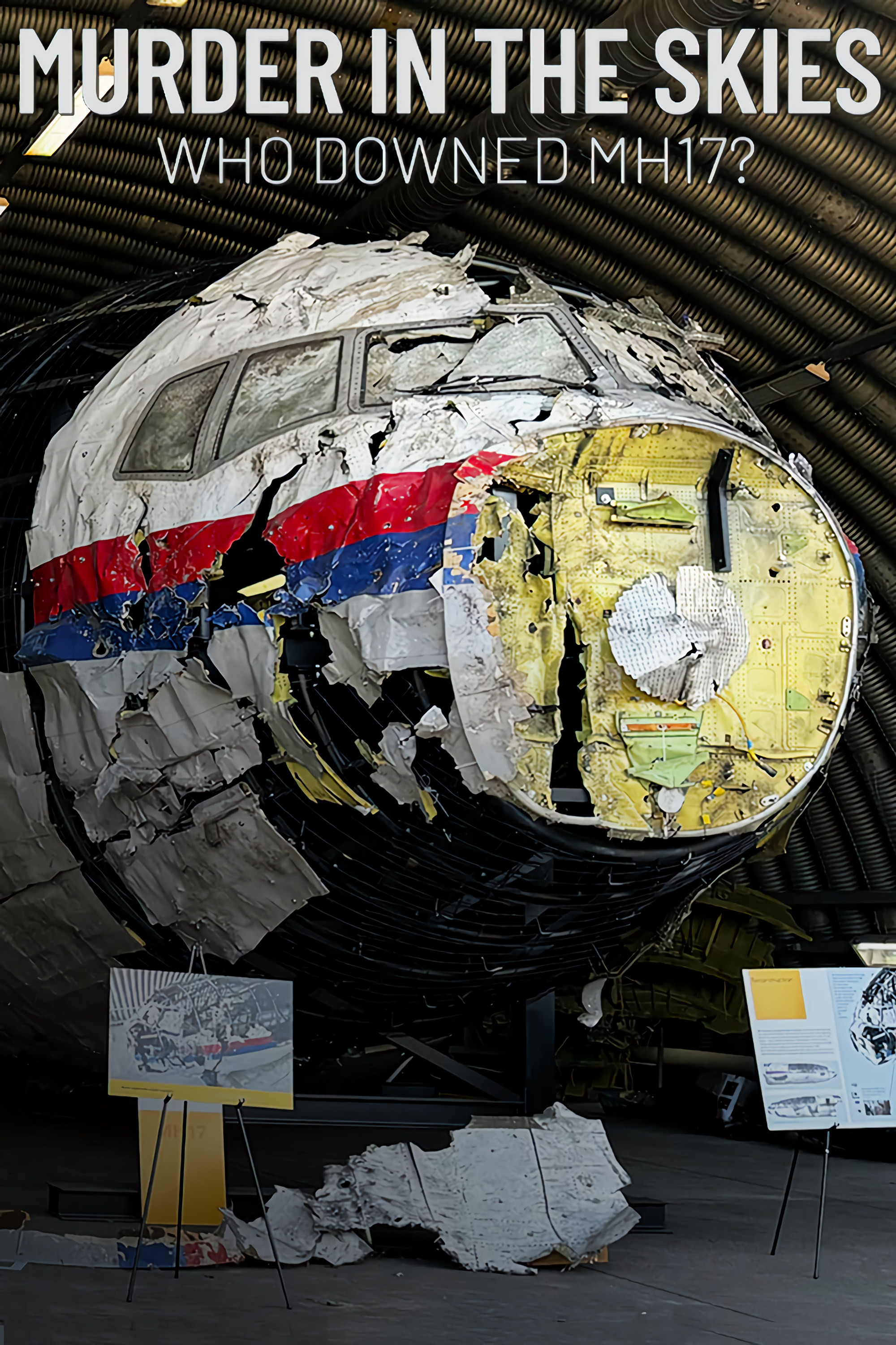 Murder in the Skies: Who Downed Mh17? (S01)