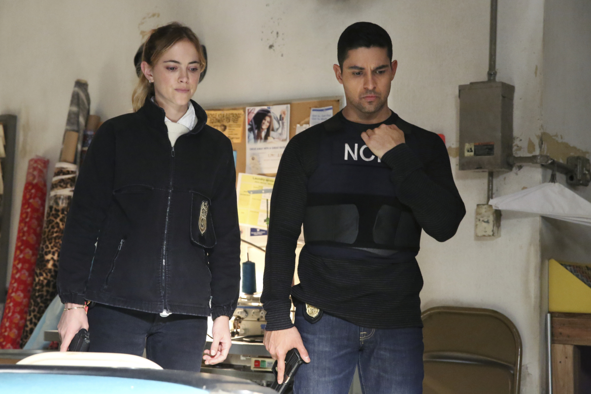 NCIS: EnquÃªtes spÃ©ciales: Bears and Cubs | Season 16 | Episode 16