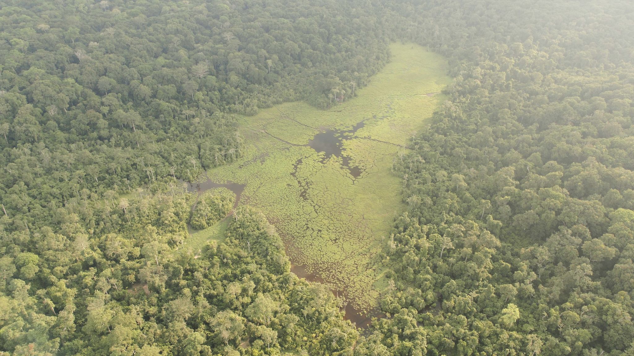 Notre planÃ¨te: Jungles | Season 1 | Episode 3