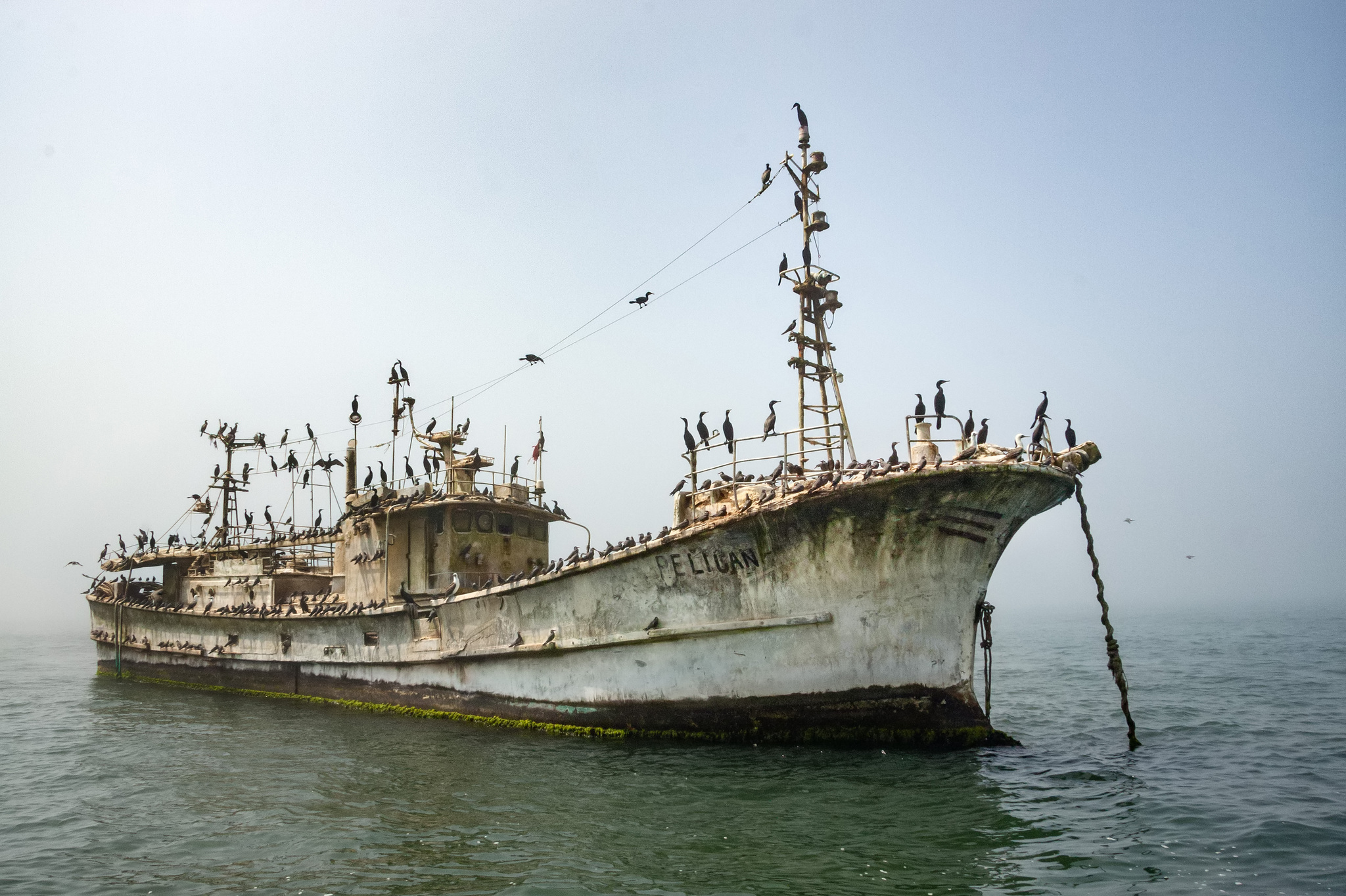 Notre planÃ¨te: Coastal Seas | Season 1 | Episode 4