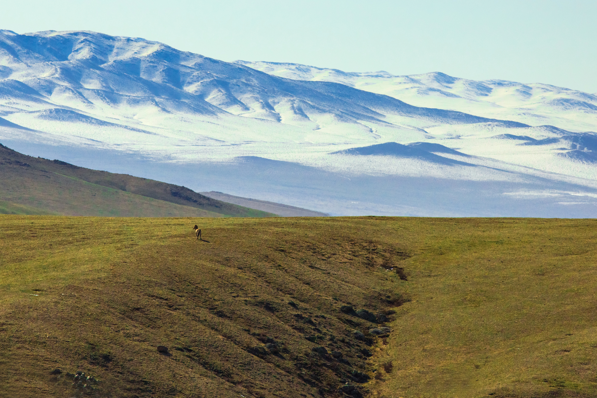 Notre planÃ¨te: From Deserts to Grasslands | Season 1 | Episode 5