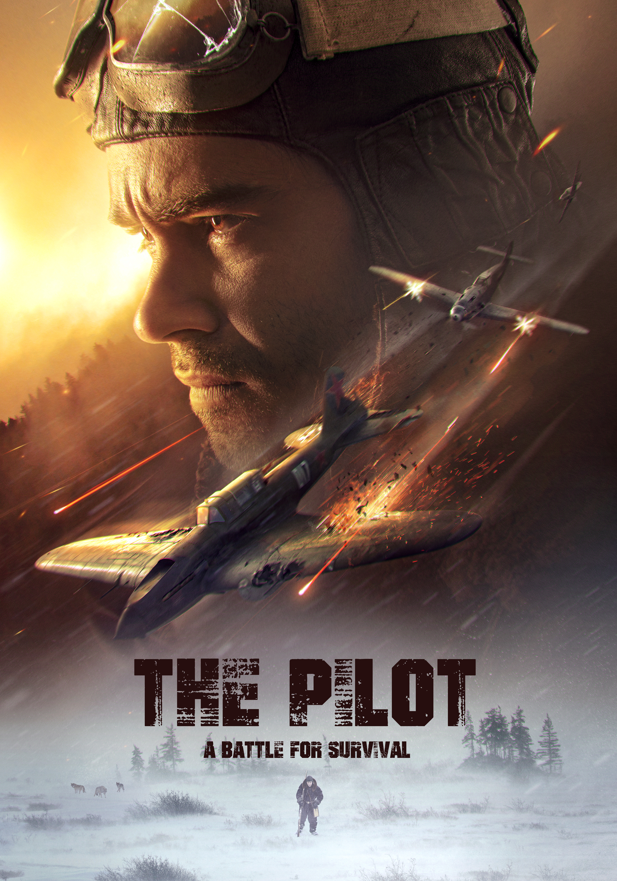 The Pilot. A Battle For Survival
