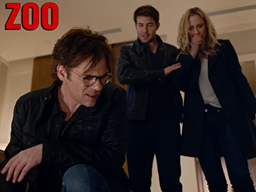 Zoo: Collision Point | Season 2 | Episode 3