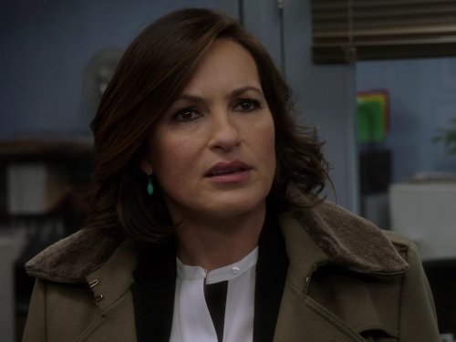 New York - UnitÃ© spÃ©ciale: Criminal Stories | Season 15 | Episode 18