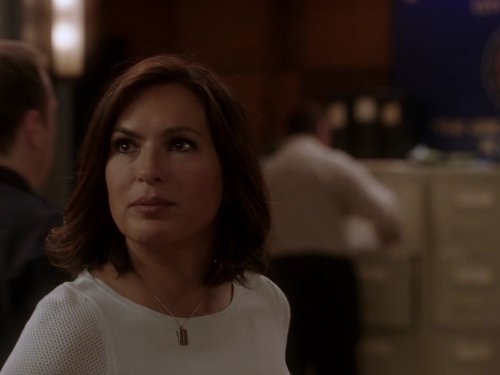 New York - UnitÃ© spÃ©ciale: Spring Awakening | Season 15 | Episode 24