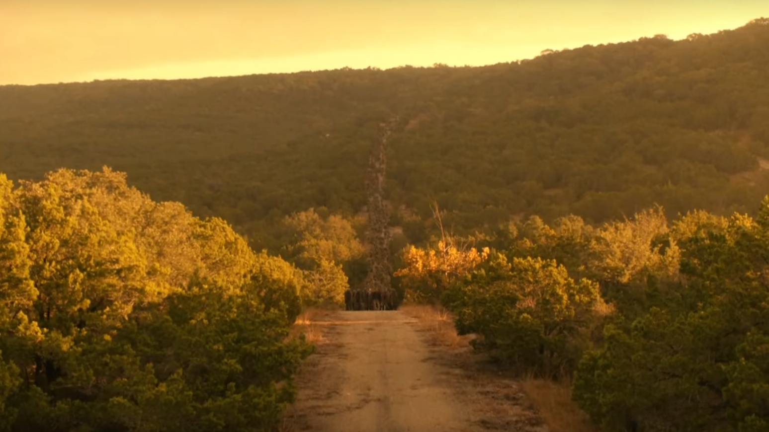 Fear the Walking Dead: The Raft    </h3>    <hr>  <script>    if ('csm' in window) {      csm.measure('csm_body_delivery_started');    }  </script>    Reference View | Season 7 | Episode 13