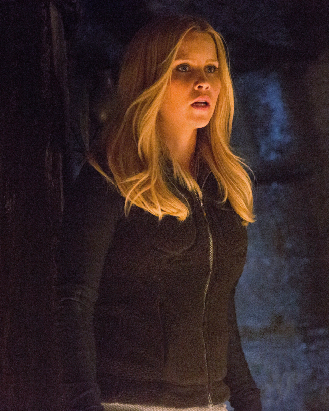 Vampire Diaries: Down the Rabbit Hole | Season 4 | Episode 14