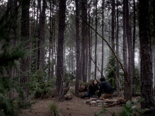 Vampire Diaries: Stand by Me | Season 4 | Episode 15
