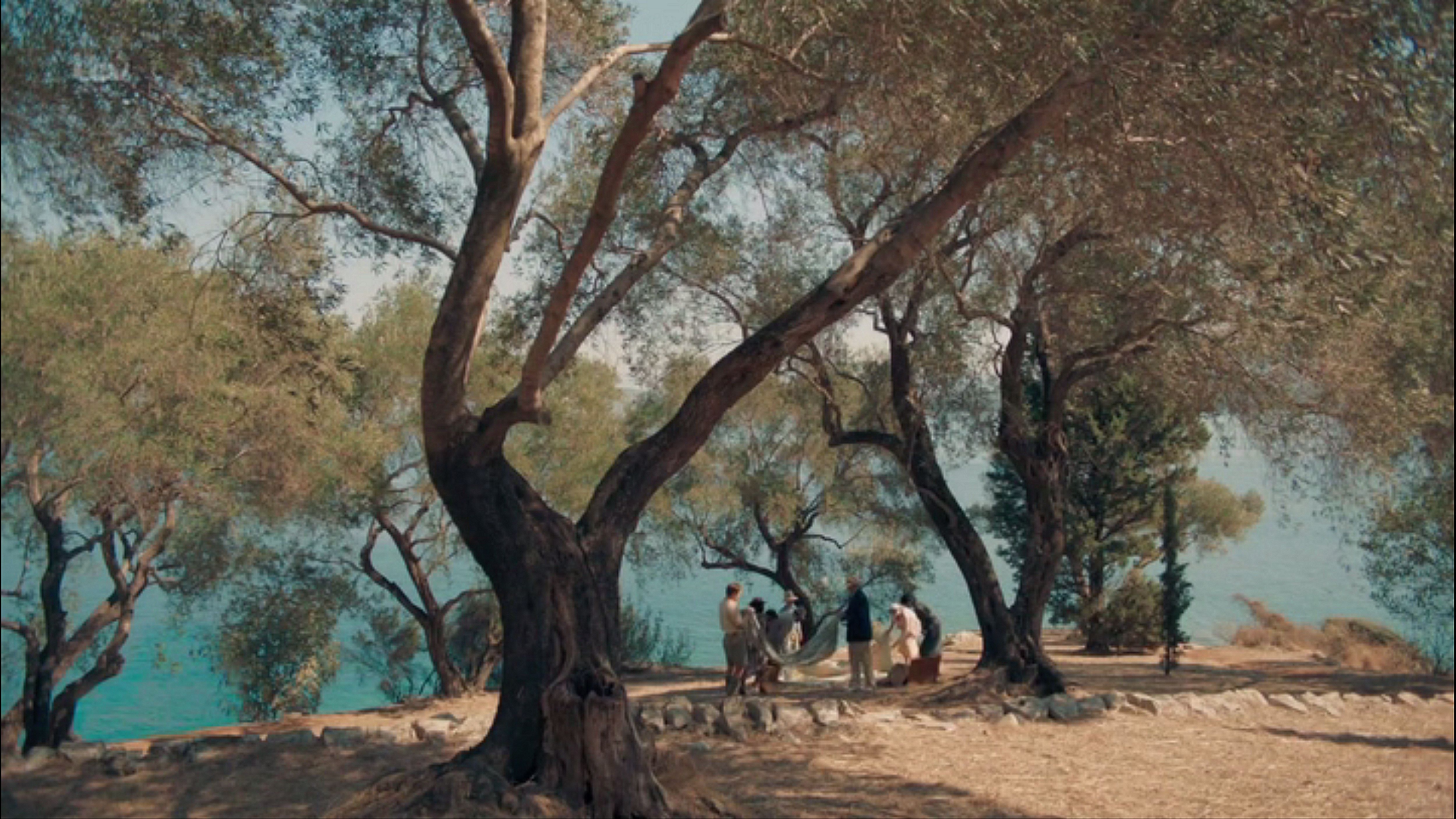 La Folle Aventure des Durrell: Ã‰pisode #4.3 | Season 4 | Episode 3