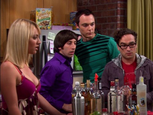 The Big Bang Theory: The Grasshopper Experiment | Season 1 | Episode 8