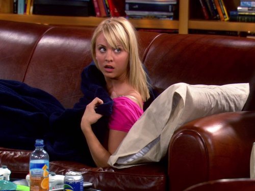 The Big Bang Theory: The Dumpling Paradox | Season 1 | Episode 7