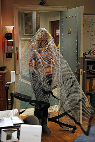 The Big Bang Theory: The Bozeman Reaction | Season 3 | Episode 13