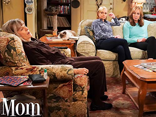 Mom: Flamingos and a Dance-Based Exercise Class | Season 6 | Episode 10