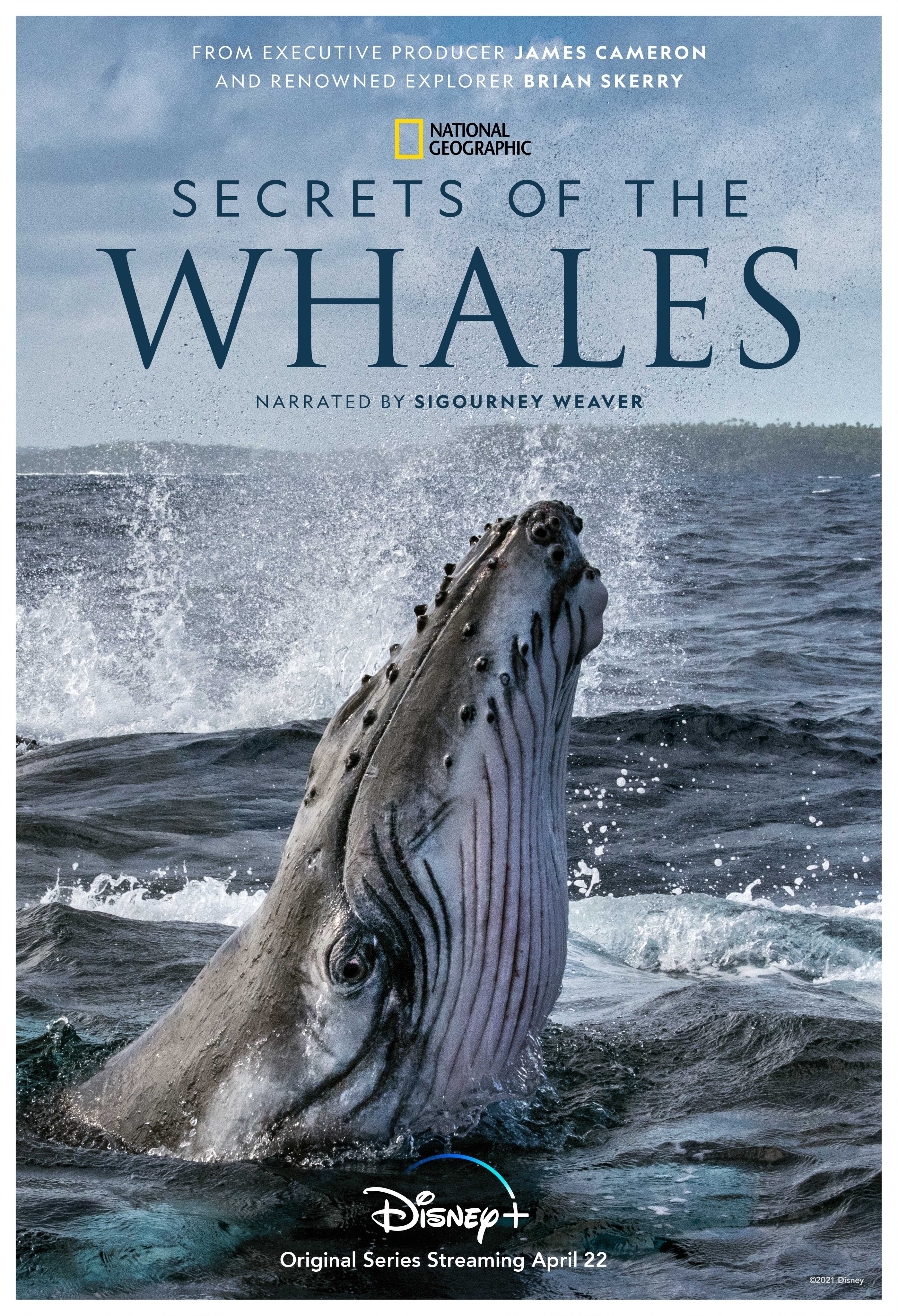 Secrets of the Whales (S01)
