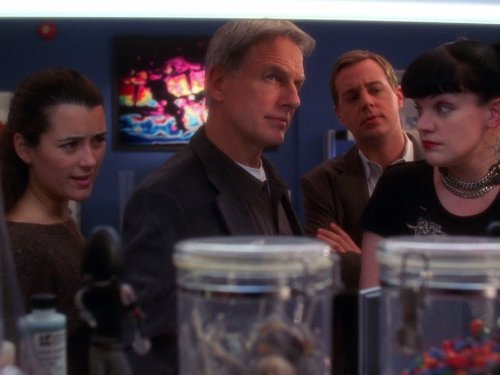 NCIS: Friends & Lovers | Season 4 | Episode 15