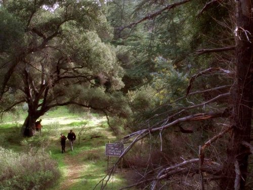 NCIS: Caught on Tape | Season 2 | Episode 15