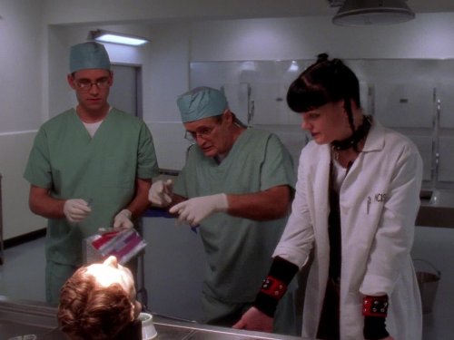 NCIS: Head Case | Season 3 | Episode 15