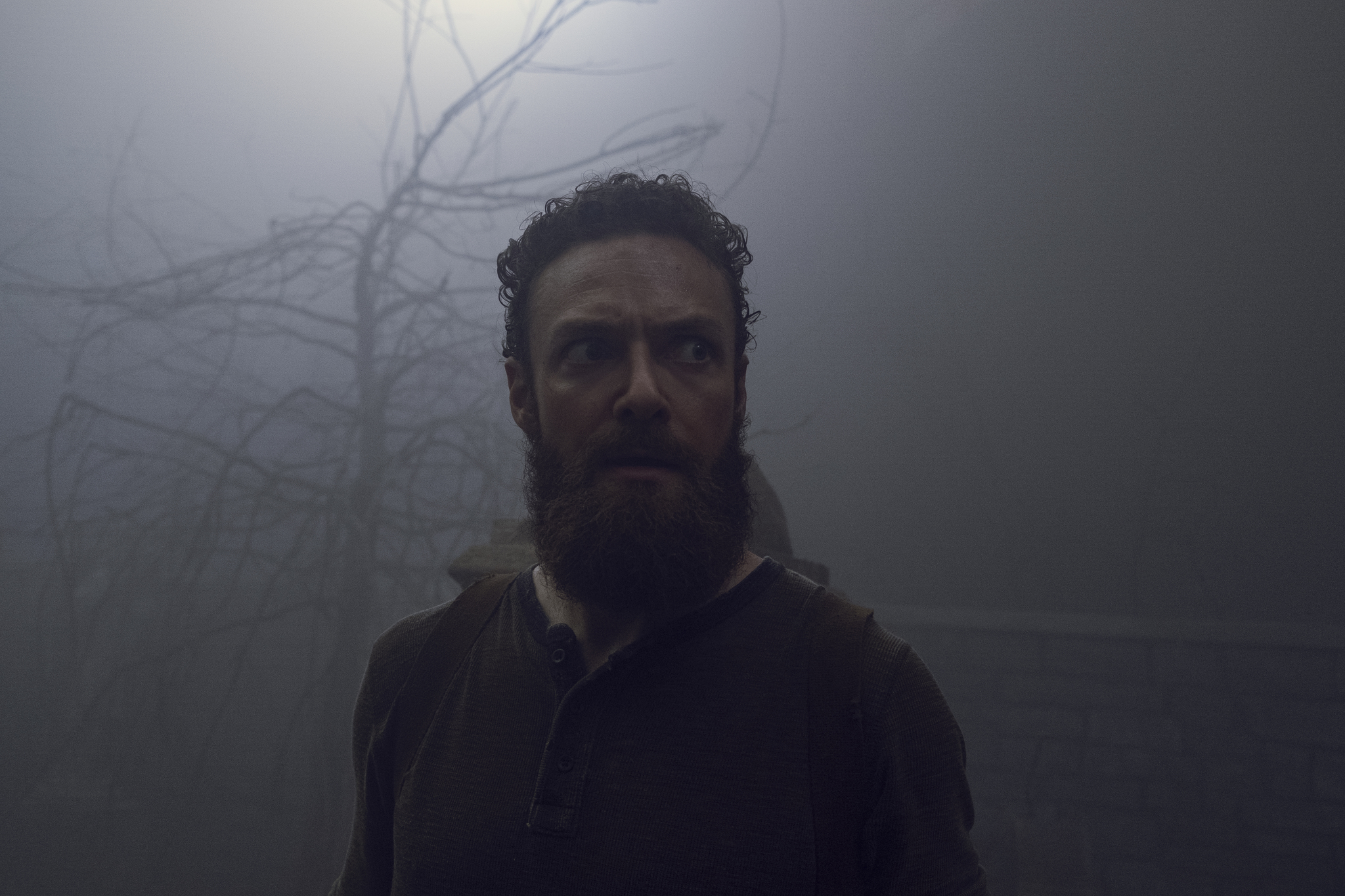 The Walking Dead: Evolution | Season 9 | Episode 8