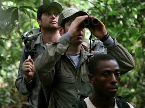 Afrique sauvage: The Future | Season 1 | Episode 6