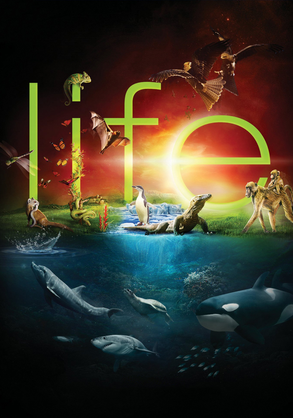 Life (S01)